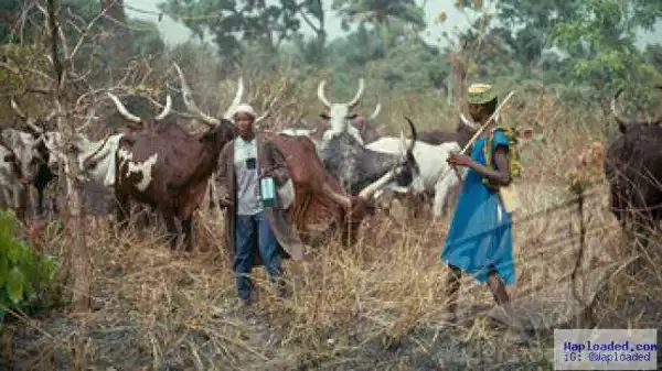 Fulani Herdsmen Kill 4 In Benue
